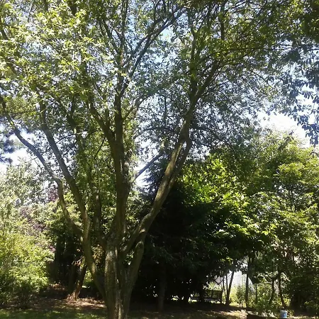 בית אירוח La Petite Chartreuse Domvast
