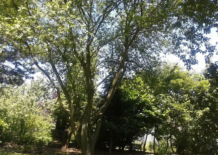 Homestay La Petite Chartreuse Domvast